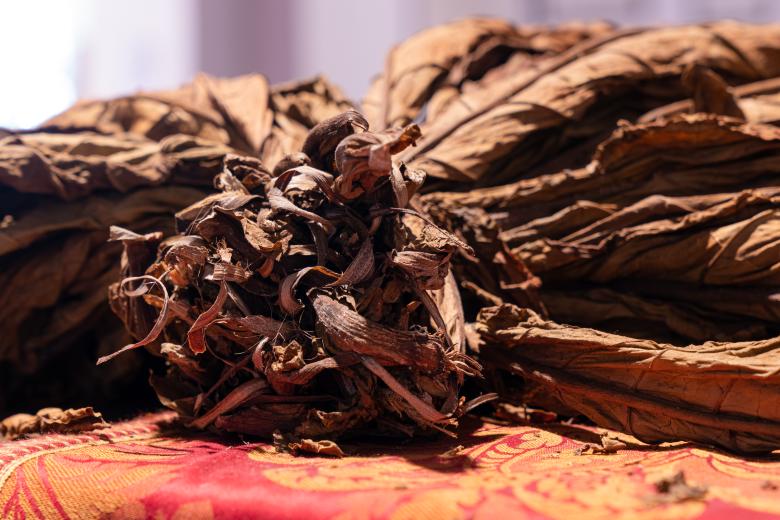 Immagine: Museo storico del tabacco